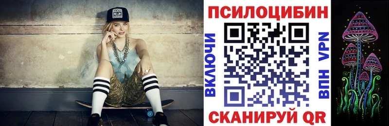 Галлюциногенные грибы Psilocybe  Купить где  Кораблино 